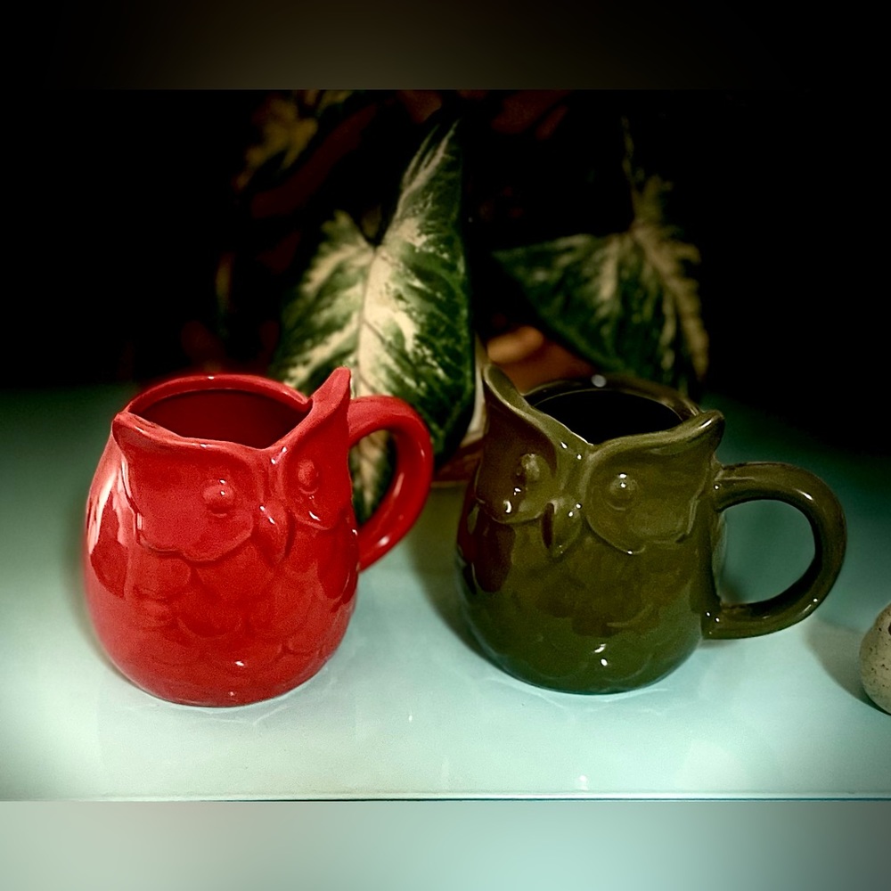 Vintage Red and Green Owl Mug
